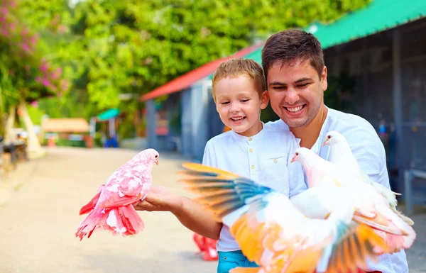 Excited family feeding colorful pigeons on animal farm