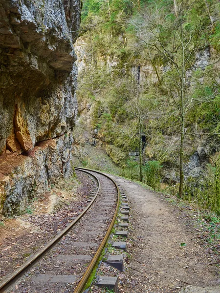 Narrow gauge railroad in mountains of North Caucasus.