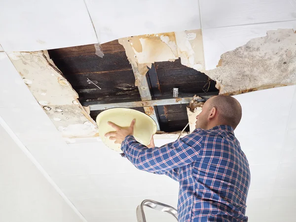 Man Collecting Water In basin From Ceiling