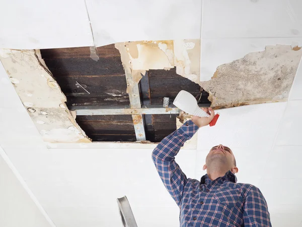 Man cleaning mold on ceiling.