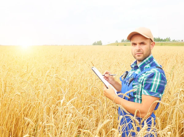 Farmer in a plaid shirt controlled his field and writing notes.