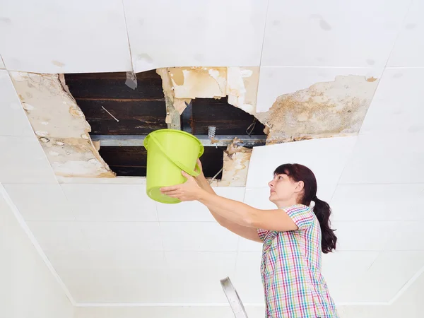 Young Woman Collecting Water In Bucket From Ceiling. Ceiling pan