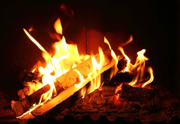 Birch wood burning in a fireplace