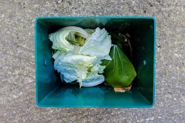 Recycling food - Compost bin contents