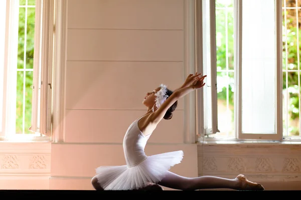 Young ballerina posing