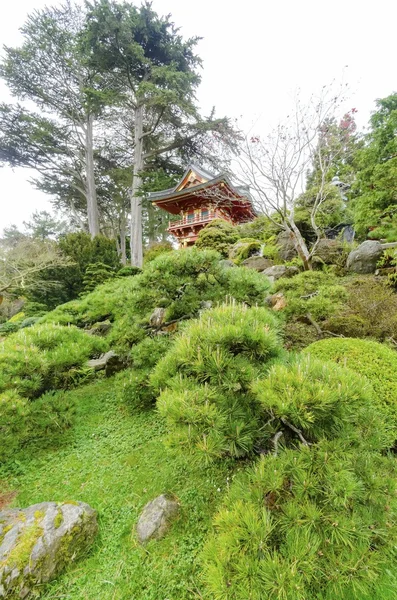 Japanese Tea Garden, San Francisco