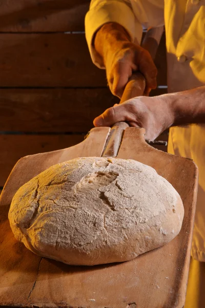 Cook taking out the bread from the oven