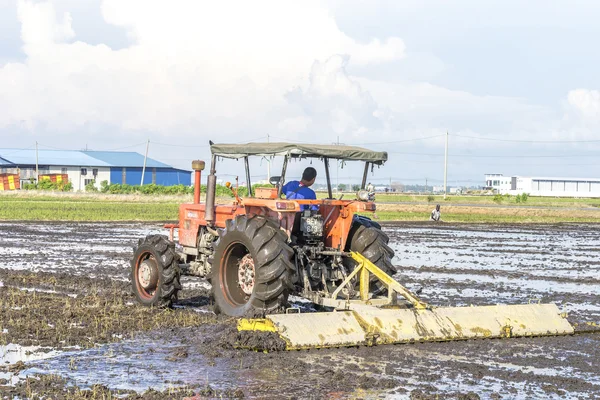 Tractor at paddy field