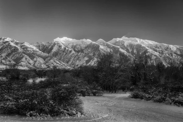 Cold Mountain Tops BW