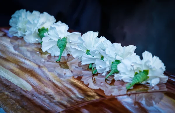 Lined Up Carnations