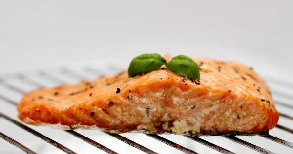 Grilled salmon fillet on grill, soft focus