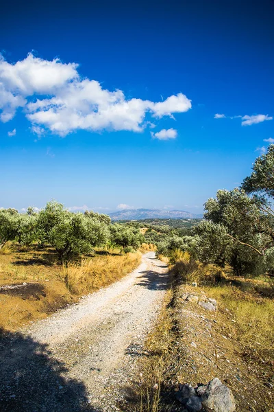 Curvy mountain road in Mediterranean mountains