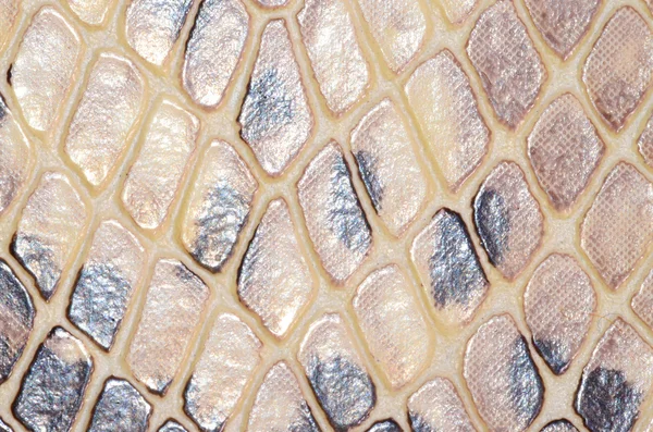 Snake Skin Seamless Pattern Texture