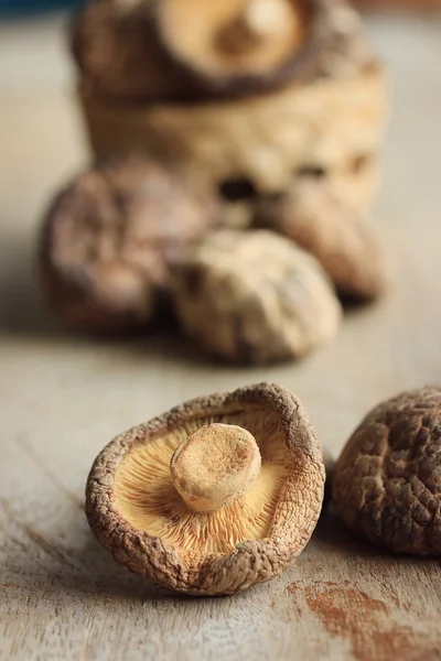 Heap dried shiitake mushrooms