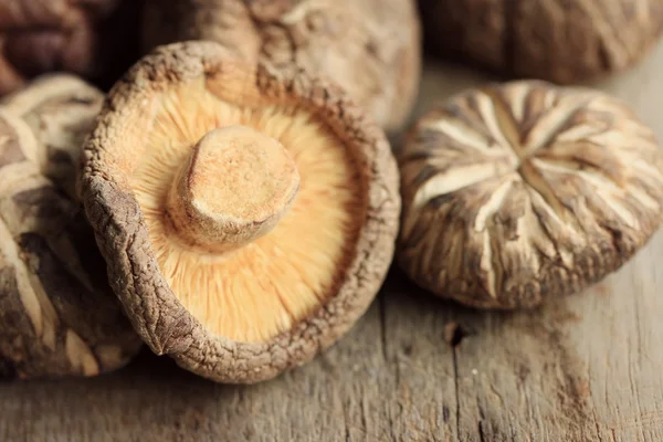 Heap dried shiitake mushrooms