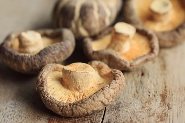 Heap dried shiitake mushrooms