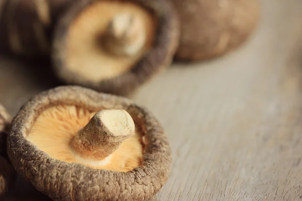 Heap dried shiitake mushrooms