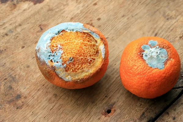 Rotten orange fruit on wood vintage