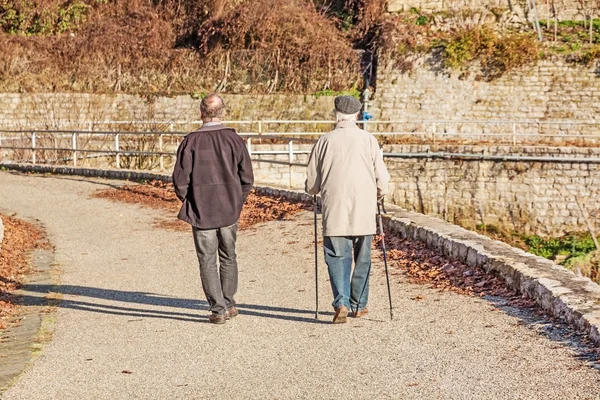 Two older men walking