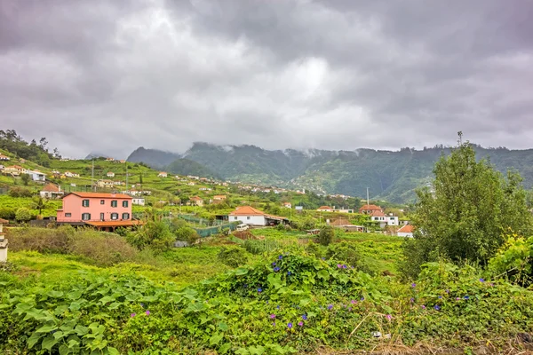 Typical landscape of Madeira island near Faial, north
