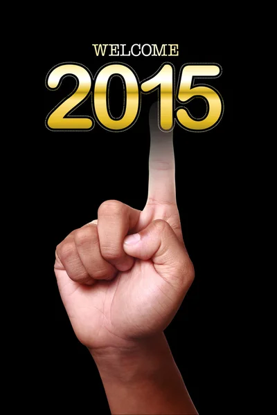 Happy New Year 2015