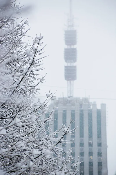 View from the window on the winter city and trees covered with snow