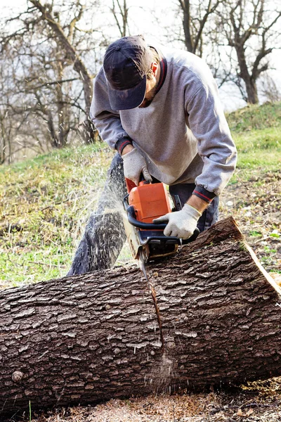 Young man cutting trees using an electrical chainsaw