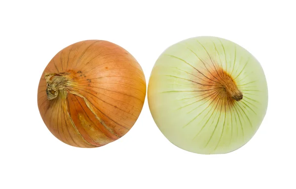 Onion for cooking on white isolate background winth clipping pat