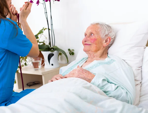 Young nurse examining an elderly woman