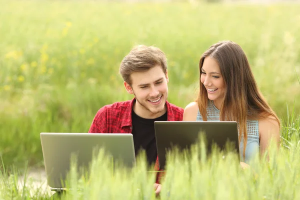 Couple or friends watching laptops in a field