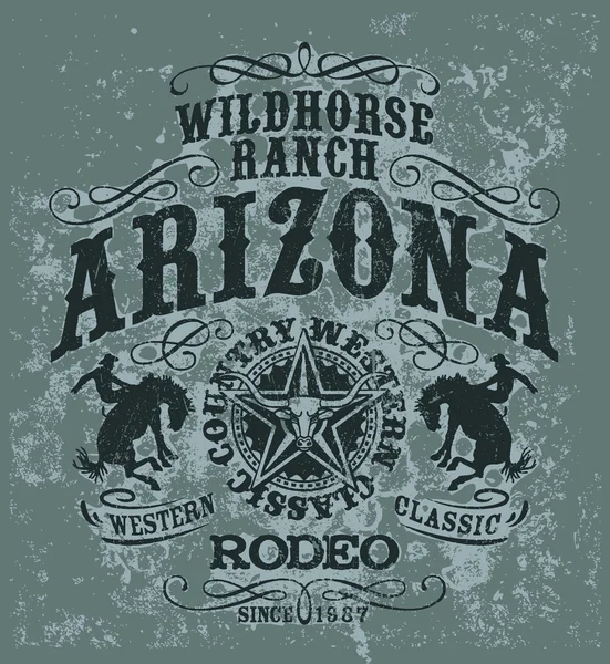 Arizona wild horse rodeo