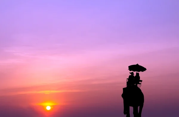 Silhouette elephant with tourist at sunset