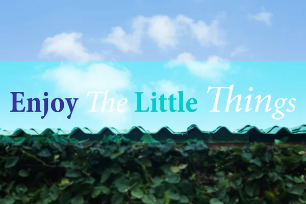Enjoy the little things inspirational and motivational quote
