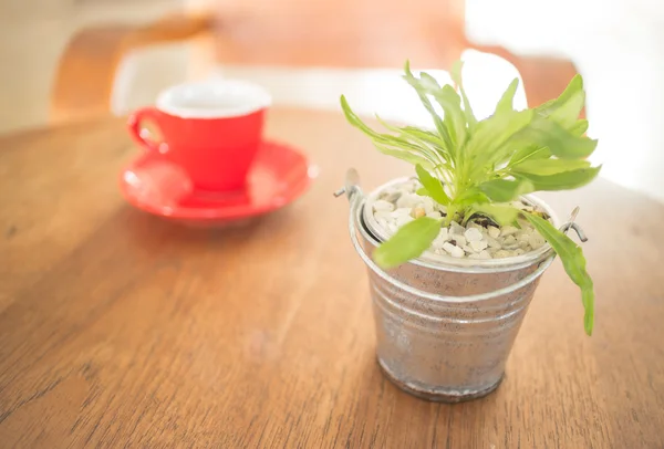 Red cup of coffee and green plant bucket on wooden table