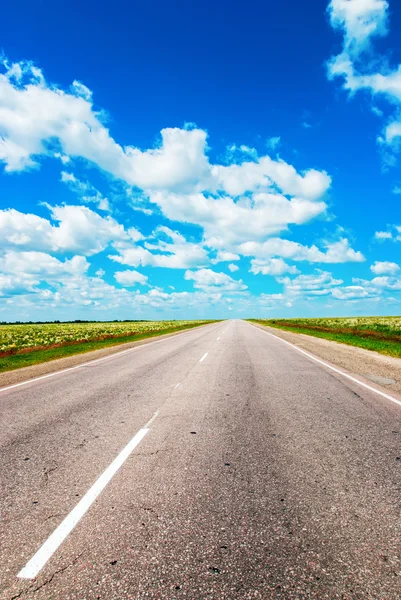 Road Lies in Field to Horizon