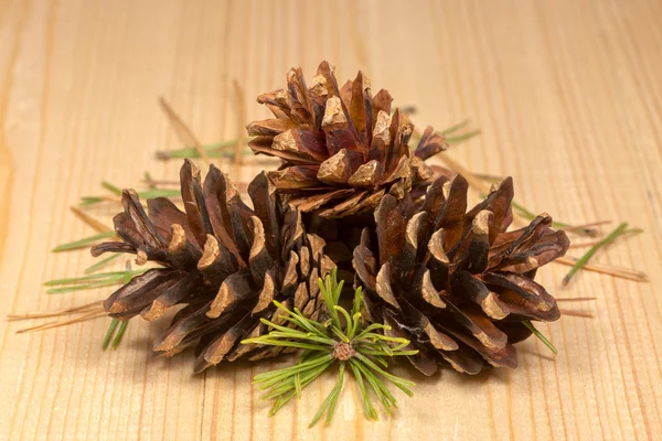 Pine cones and needles on the pine board