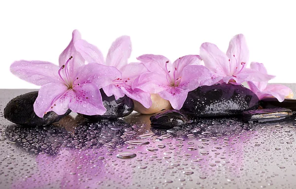 Flowers and black stones with reflection