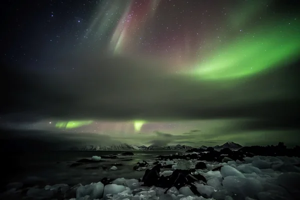 Northern lights over the frozen Arctic fjord