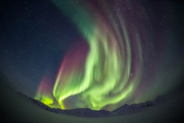 Extraordinary, colorful Northern Lights across the Arctic sky of Spitsbergen - winter landscape