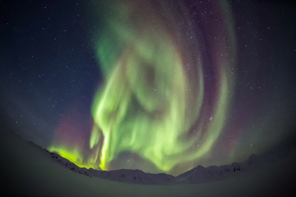 Unusual, colorful Northern Lights above the Svalbard Archipelago - Arctic