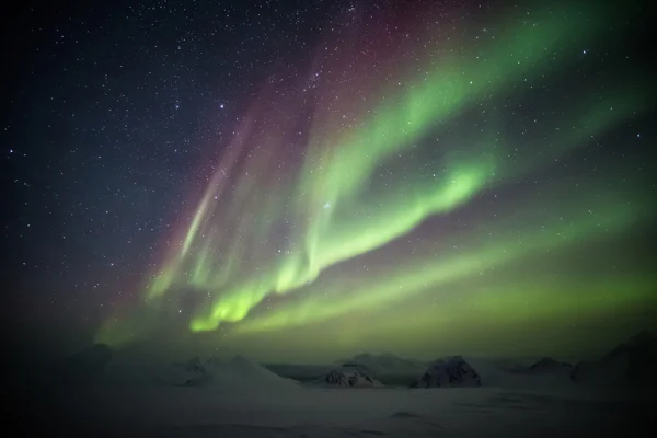 Aurora Borealis over the frozen Arctic fjord