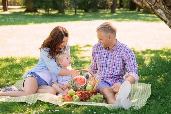 Family on vacation having a picnic