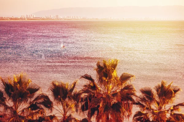 Sea View Background with Blurred Tilt-Shift Effect