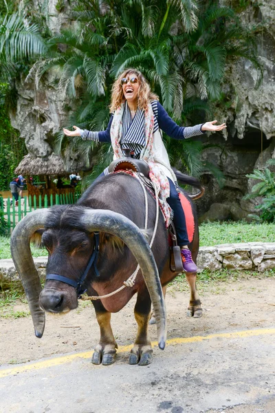 Woman riding an ox at the Vinales valley in Cuba