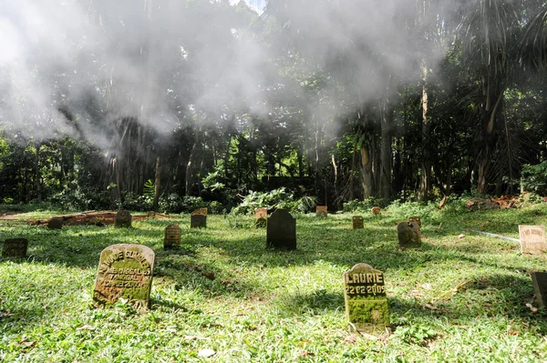 Cemetery at Sacred Monkey Forest
