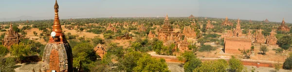 Panoramic view at the archaeological site of Bagan