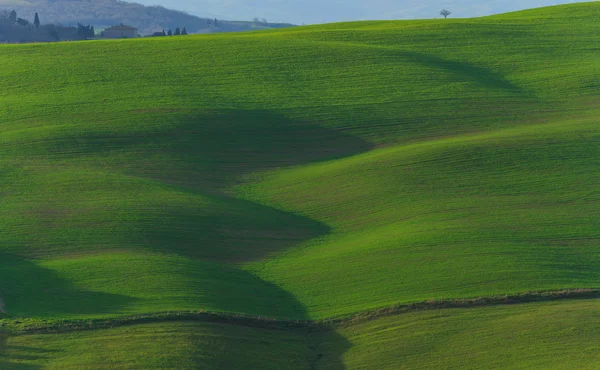 Rolling Hills in Tuscany, Italy