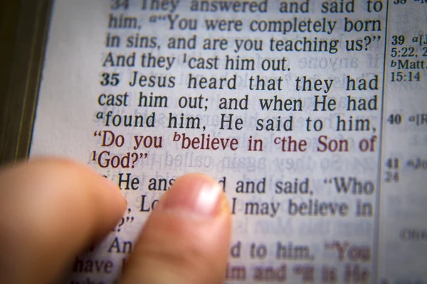 Bible text Do you believe in the Son of God?