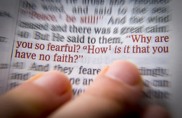 Bible text - Why are you so fearful