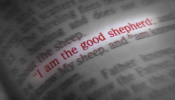 Bible text - I am the good shepherd - John 10:14